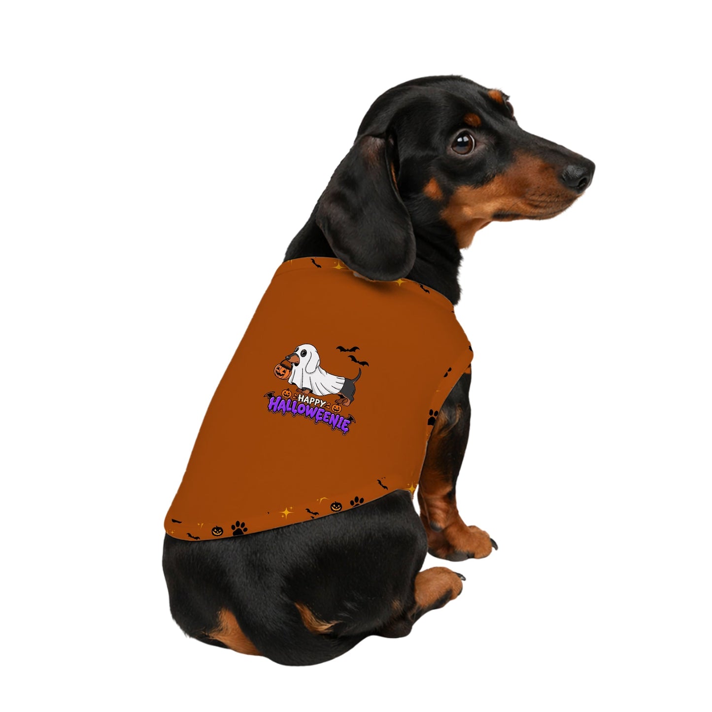 A dachshund wearing an orange Halloween-themed dog shirt with a cartoon ghost and the words 'Spooky Halloweenie' on a plain White background.
